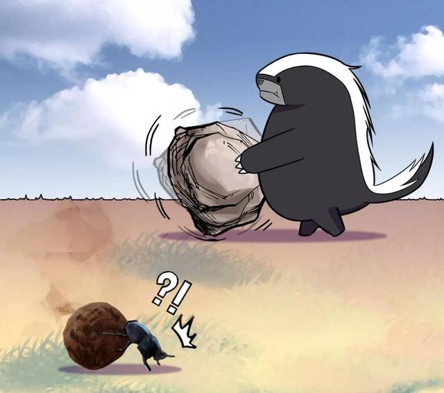排名